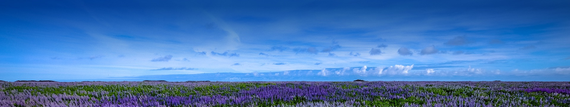 济宁朱山公墓